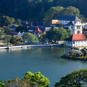 Blog Banner for Website Content (1)