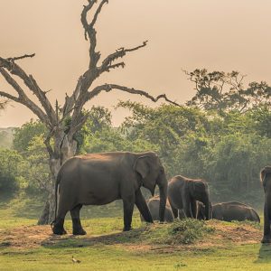 Blog Banner for Website Content